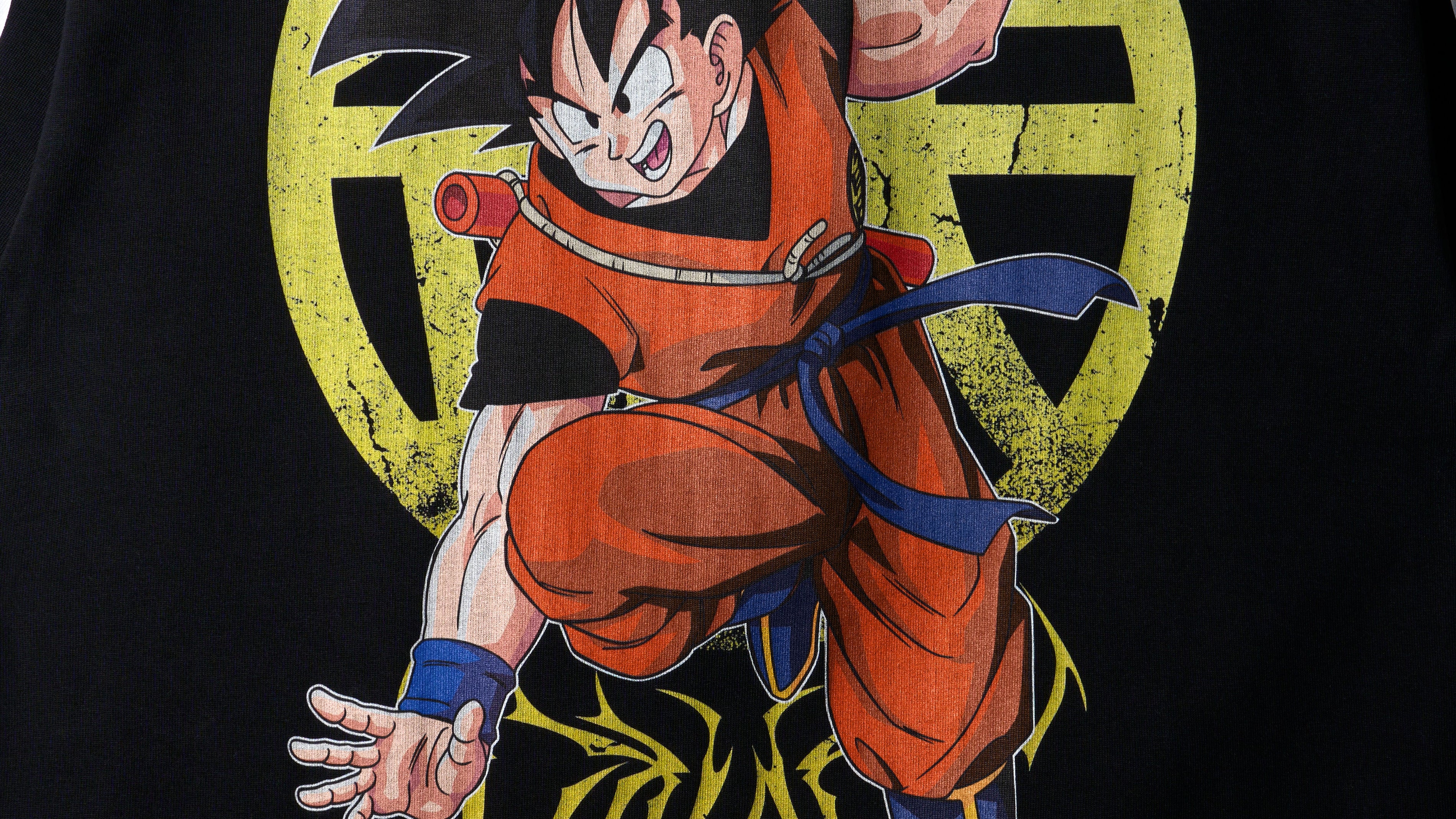 Dragon Ball Guide for Fans Who Live in the Gym